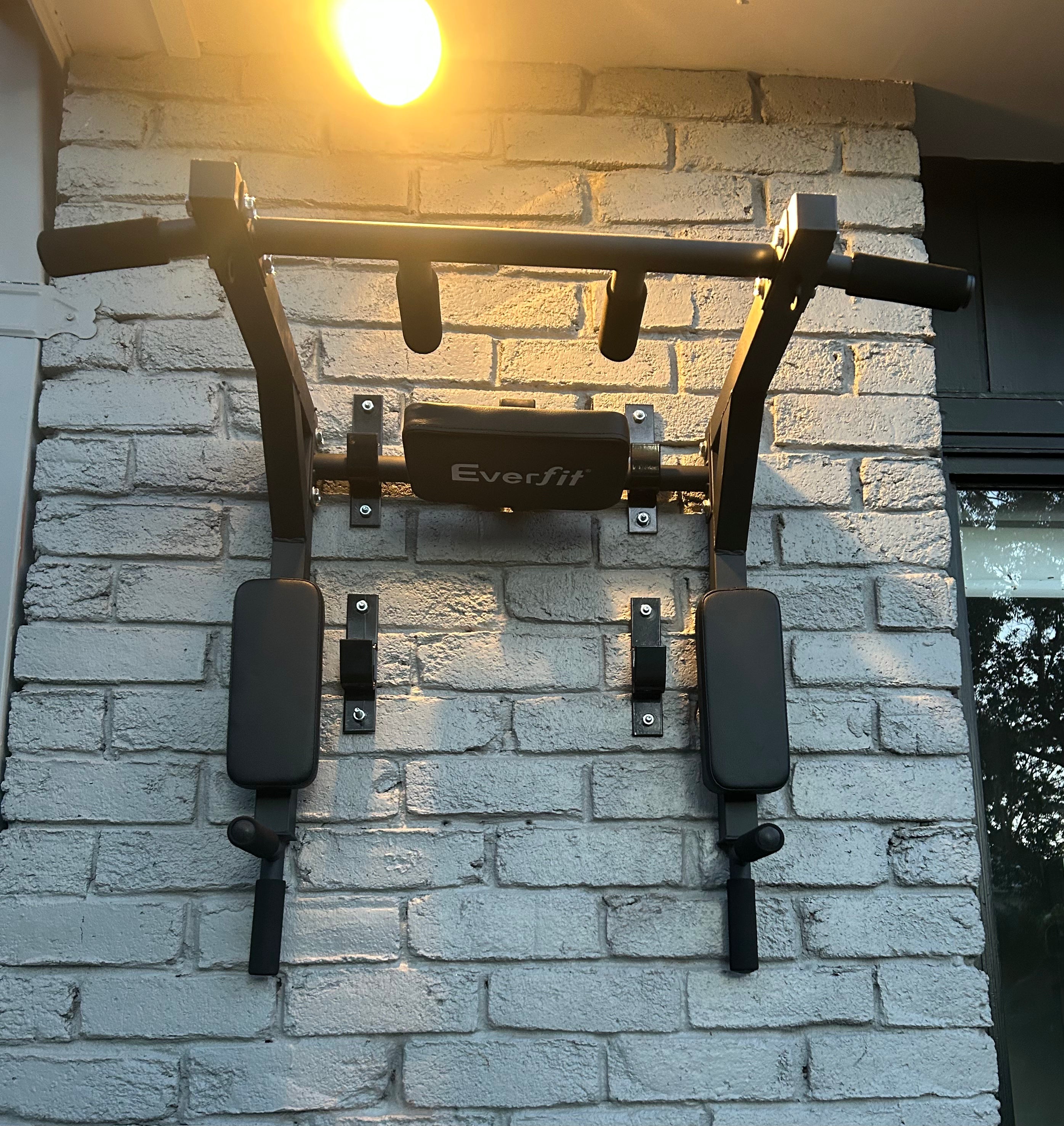 Elite Wall-Mounted Pull-Up & Dip Station