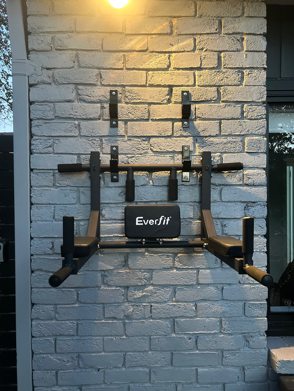 Elite Wall-Mounted Pull-Up & Dip Station