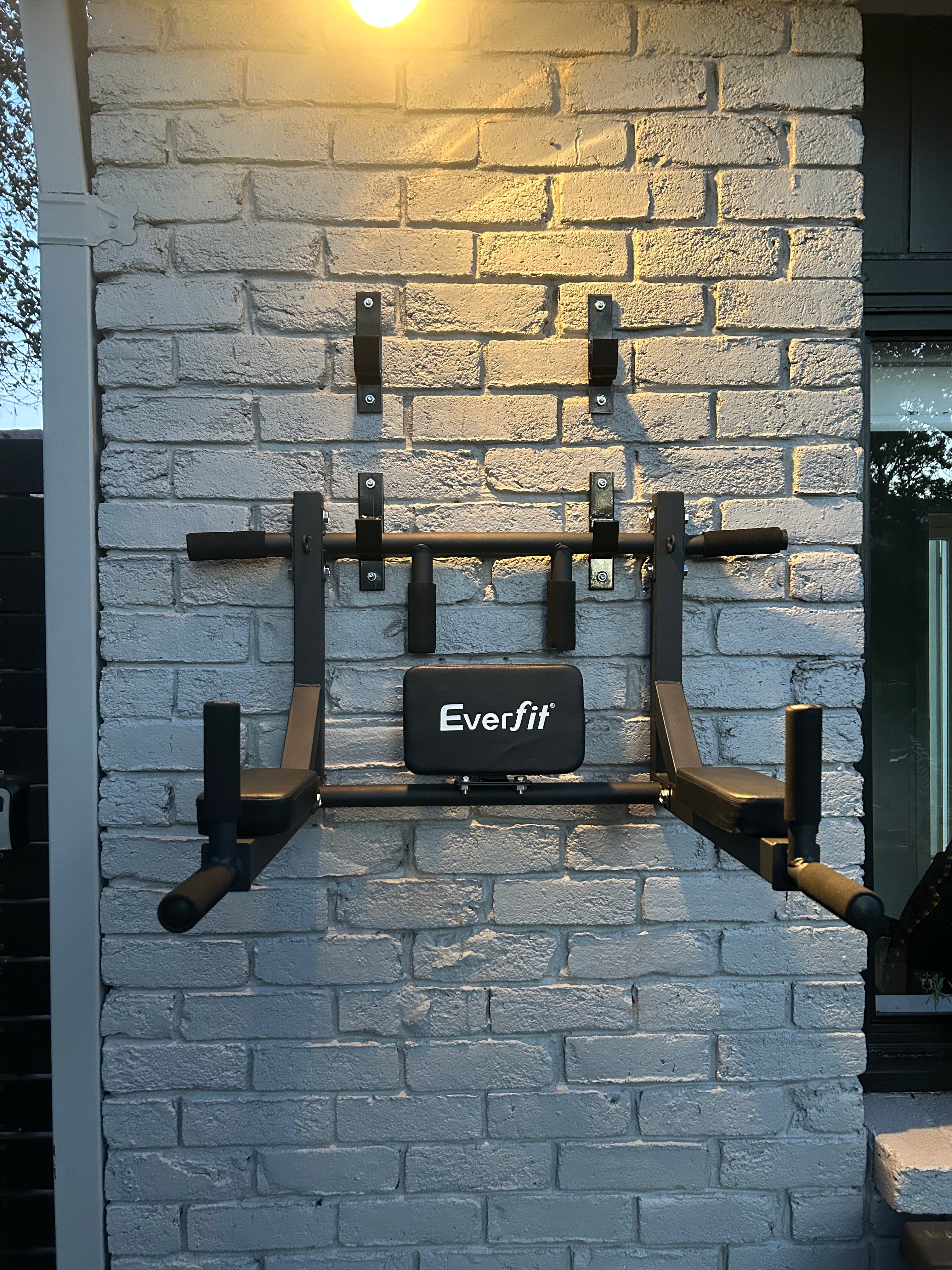Elite Wall-Mounted Pull-Up & Dip Station